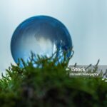 World Environment Day 