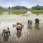National Farmers Day 