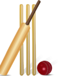 Cricket 