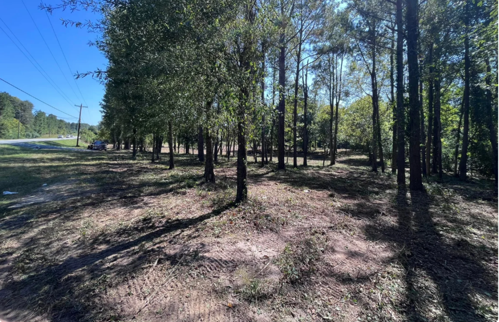 How to Make the Most of Forestry Services in Fort Valley, GA: A Comprehensive Guide