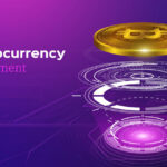 Cryptocurrency Development Company