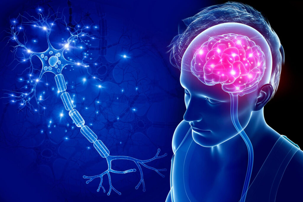 From Diagnosis to Recovery: A Guide to Neuro and Brain Treatment in India