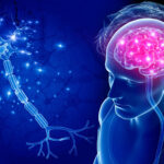 From Diagnosis to Recovery: A Guide to Neuro and Brain Treatment in India